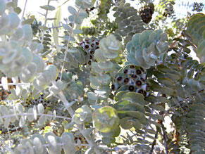 Kat's Photography Sample 17